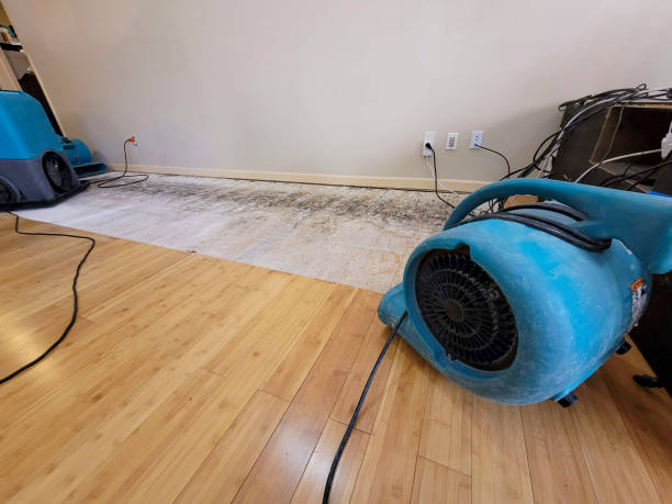 Professional Basement Flood Cleanup technician working in Monticello, MN